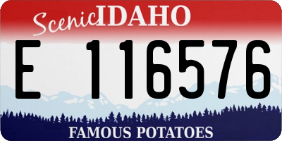 ID license plate E116576