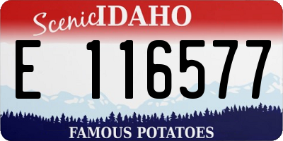 ID license plate E116577
