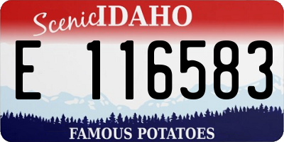ID license plate E116583