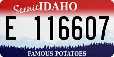 ID license plate E116607