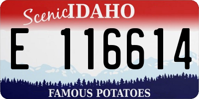 ID license plate E116614
