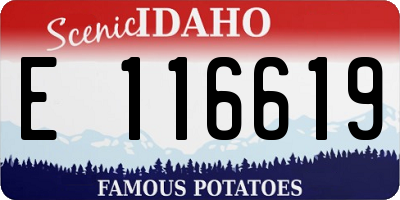 ID license plate E116619