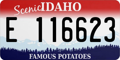 ID license plate E116623