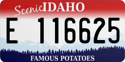 ID license plate E116625