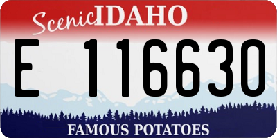 ID license plate E116630