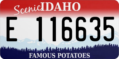 ID license plate E116635