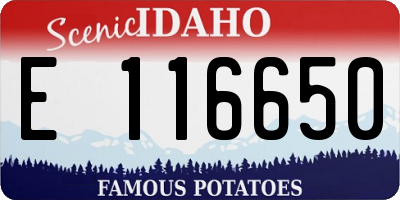 ID license plate E116650