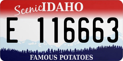 ID license plate E116663