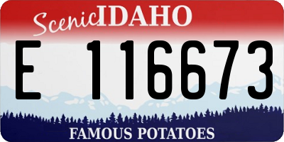 ID license plate E116673