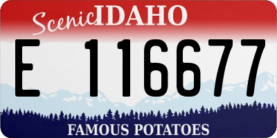 ID license plate E116677