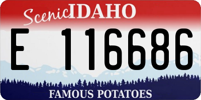 ID license plate E116686