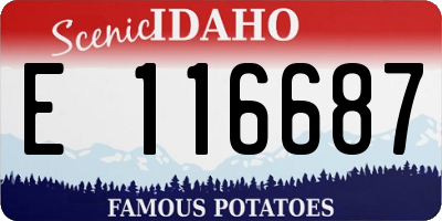 ID license plate E116687