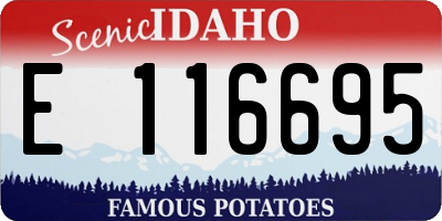 ID license plate E116695