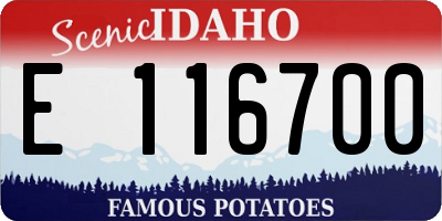 ID license plate E116700