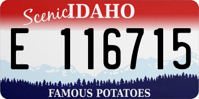 ID license plate E116715