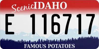 ID license plate E116717