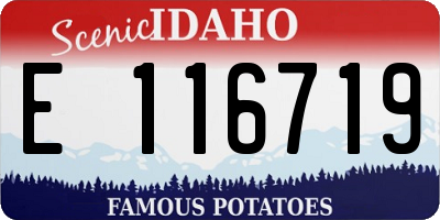 ID license plate E116719