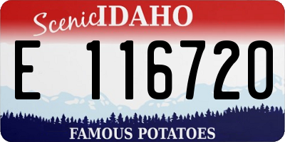 ID license plate E116720