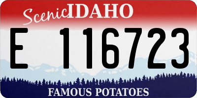 ID license plate E116723