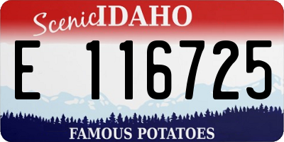 ID license plate E116725