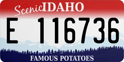 ID license plate E116736