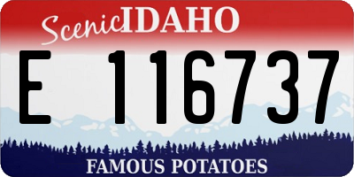 ID license plate E116737