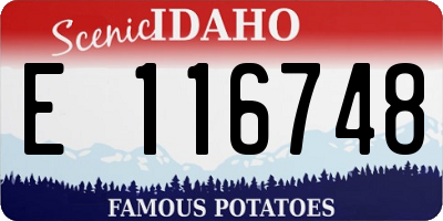 ID license plate E116748