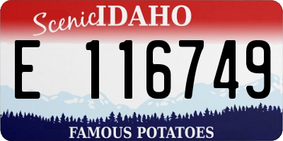 ID license plate E116749
