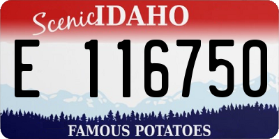 ID license plate E116750