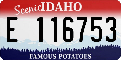 ID license plate E116753