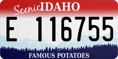ID license plate E116755