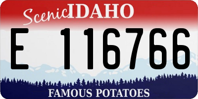 ID license plate E116766