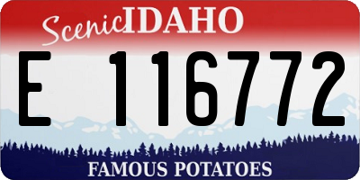 ID license plate E116772