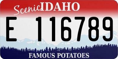 ID license plate E116789