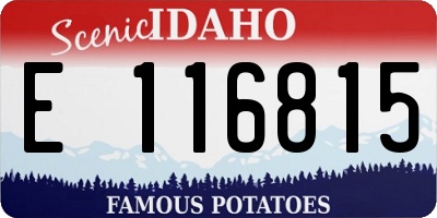 ID license plate E116815