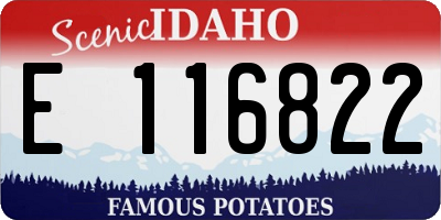 ID license plate E116822