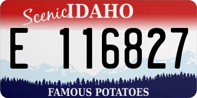 ID license plate E116827