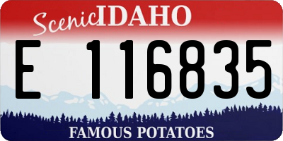 ID license plate E116835