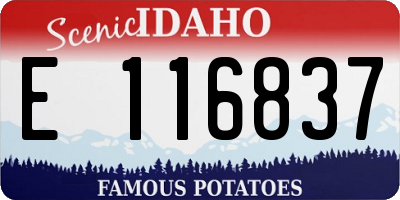 ID license plate E116837
