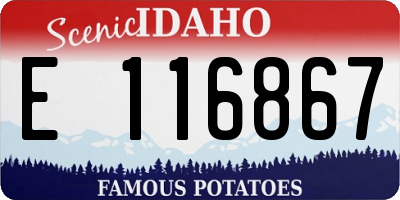 ID license plate E116867