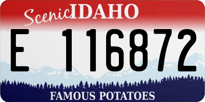 ID license plate E116872