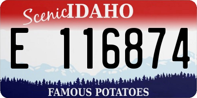 ID license plate E116874