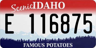 ID license plate E116875