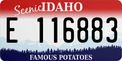 ID license plate E116883