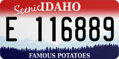ID license plate E116889