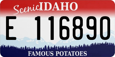 ID license plate E116890