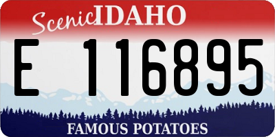ID license plate E116895