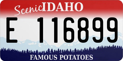 ID license plate E116899