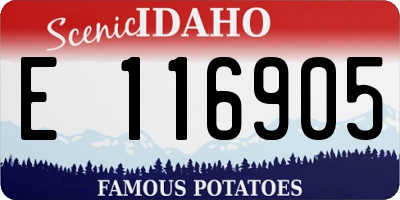 ID license plate E116905