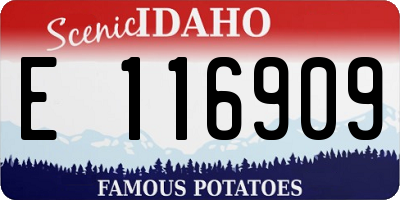 ID license plate E116909